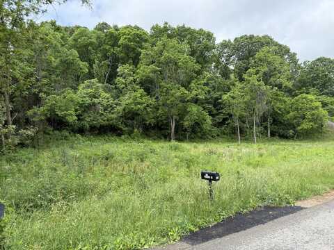 Lot 1 Caroll Road, Morristown, TN 37813