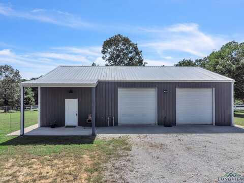 315 Bluewood Rd, Big Sandy, TX 75755