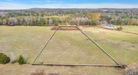 Tbd Bob O Link Rd, Gilmer, TX 75645