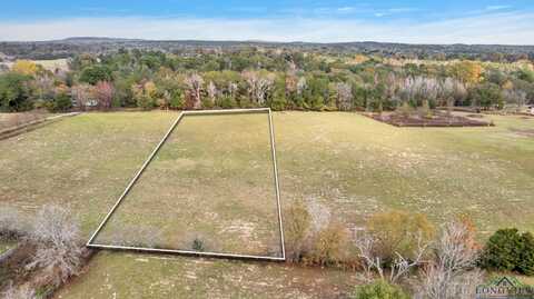 Tbd Bob O Link Rd, Gilmer, TX 75645