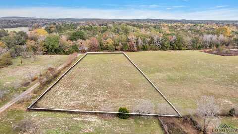 Tbd Bob O Link Rd, Gilmer, TX 75645