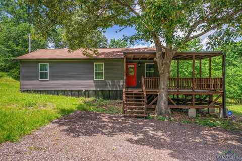 3089 CR 121D, Overton, TX 75684