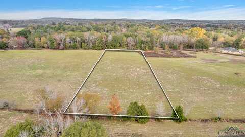Tbd Bob O Link Rd, Gilmer, TX 75645