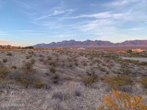 5647 Calle De Paradise, Las Cruces, NM 88011