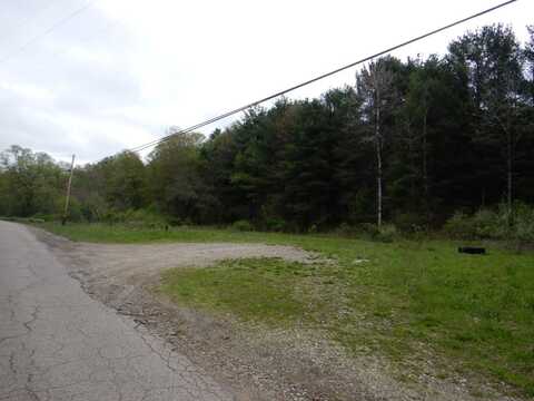 Wightman Road, Wellsville, NY 14895