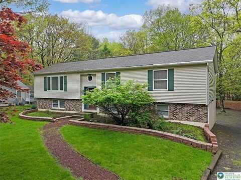 115 Buckhill Road, Penn Forest, PA 18210