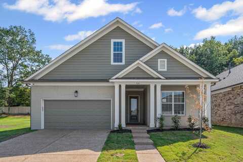 324 DELPHINIUM, Cordova, TN 38018