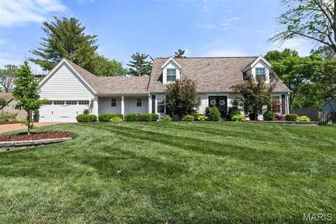 834 Twin Pine Drive Drive, Kirkwood, MO 63122