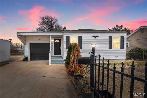 4011 Birchwood Place, Unincorporated, MO 63125