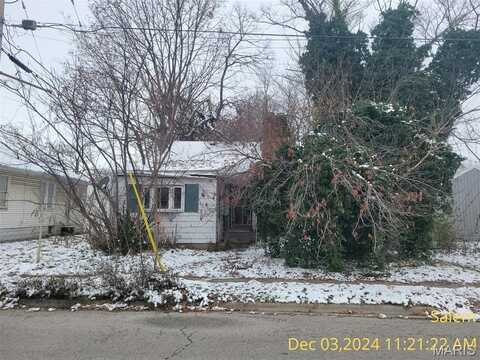 404 W Schwartz Street, Salem, IL 62881