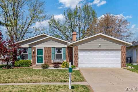 2717 Dividend Park Drive, Florissant, MO 63031