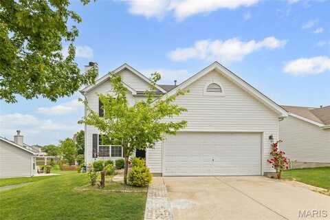 716 Terra Springs Way Drive, Fairview Heights, IL 62208