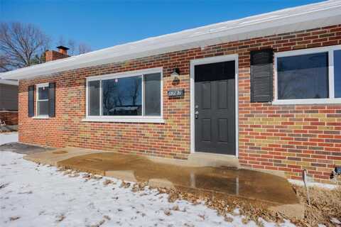 1787 Nemnich Avenue, Saint Louis, MO 63136