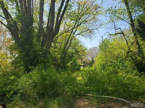 715 Ann Street, Belleville, IL 62220