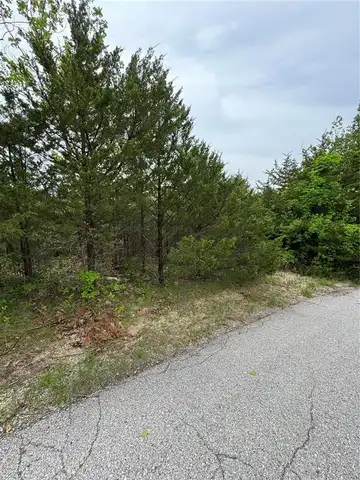 157 Cottonblossom Drive, Hillsboro, MO 63050