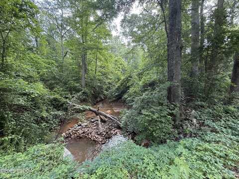 0 Zellner Road, Forsyth, GA 31029