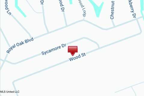 0 Wood Street, Pass Christian, MS 39571