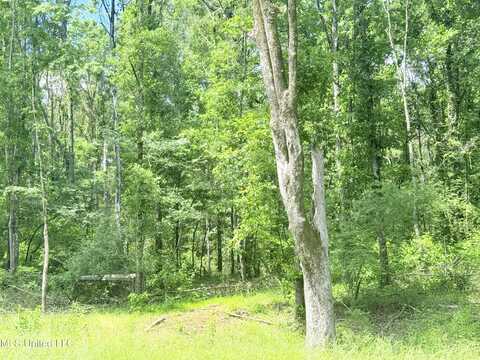 Stout Meadows Lane, Madison, MS 39110