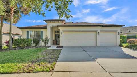 15706 STARLING WATER DRIVE, LITHIA, FL 33547