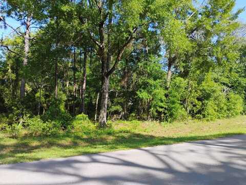 0 11 STREET, WILLISTON, FL 32696