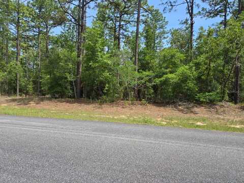 1795 W THUMPER, CITRUS SPRINGS, FL 34434
