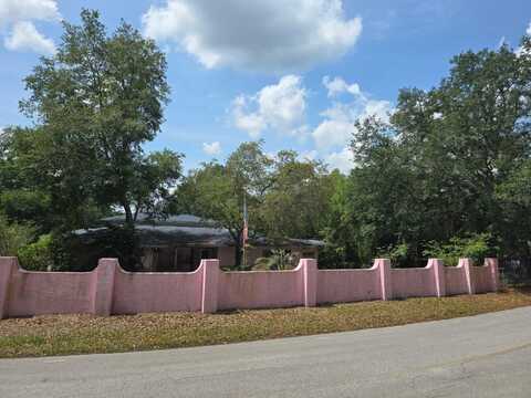 16880 SE 63RD LANE, OCKLAWAHA, FL 32179