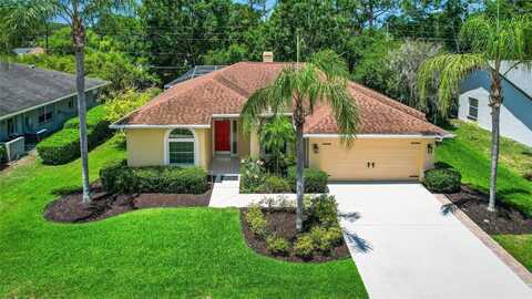 2498 SADDLEWOOD LANE, PALM HARBOR, FL 34685