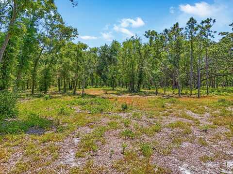 JUST OUR LANE, SEFFNER, FL 33584