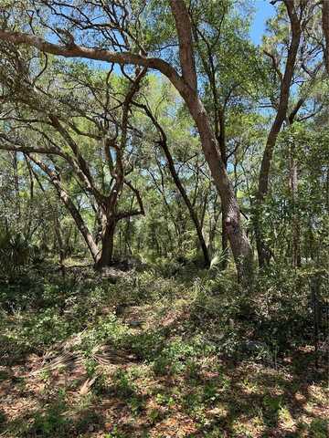 SE 11TH STREET, SILVER SPRINGS, FL 34488