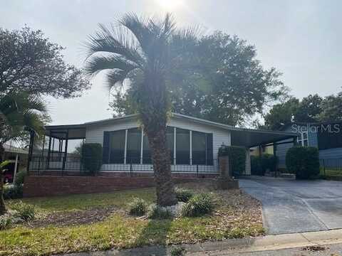 1408 TORREY PINES DRIVE, LADY LAKE, FL 32159