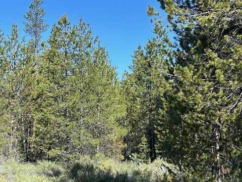 Forest Service Road, Gilchrist, OR 97737