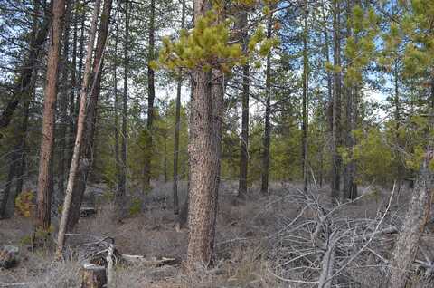 Forest Service Road, Gilchrist, OR 97737