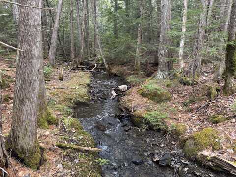 Lot 14-6 North Road, Lee, ME 04455