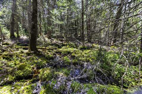 Lot 38 Arrowhead Road, Bar Harbor, ME 04609