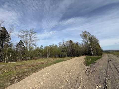 Lot 8 Airline Road, Alexander, ME 04694