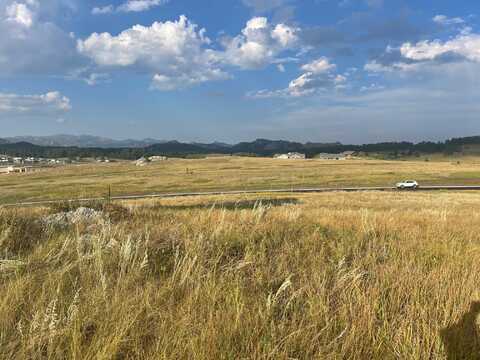 Block 1 Lot 22 Park Avenue, Custer, SD 57730
