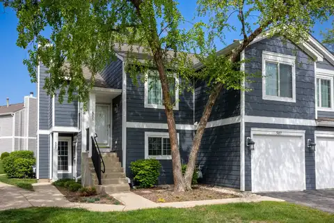 507 Mallard Court, Schaumburg, IL 60193