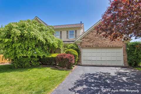 213 Stanton Drive, Buffalo Grove, IL 60089