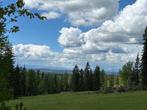 Nhn Black Wolf Trail, Bigfork, MT 59911