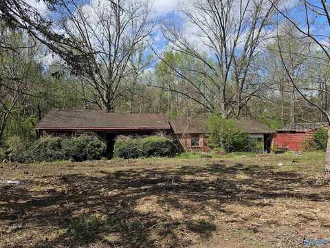 1006 County Road 1233, Vinemont, AL 35179