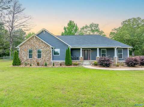 4198 Pilgrims Rest Road, Southside, AL 35907