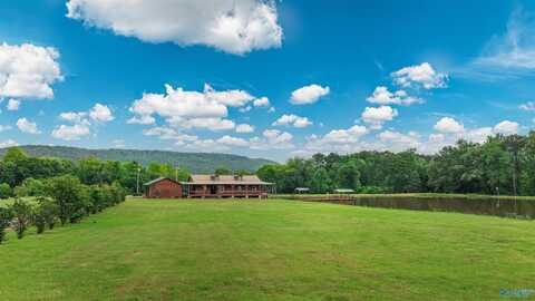 6263 South Sauty Road, Langston, AL 35755