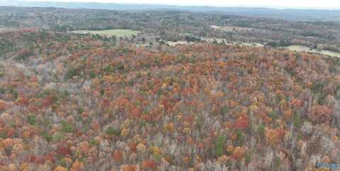 279 Ac Sligo Road, Boaz, AL 35956