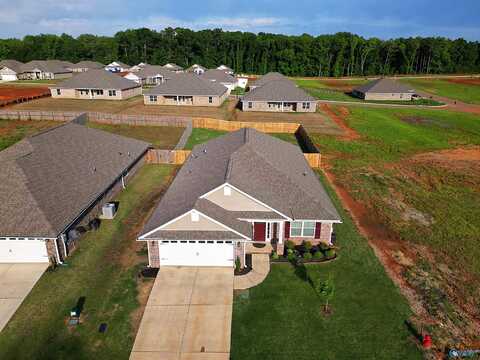 14228 Wildflower Drive, Harvest, AL 35749