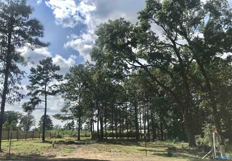 101 Ryan Street, Section, AL 35771