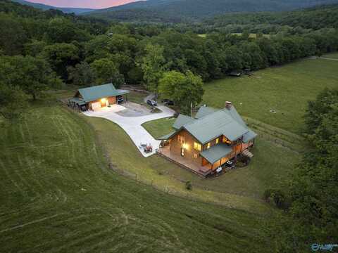 1835 County Road 9, Estillfork, AL 35745