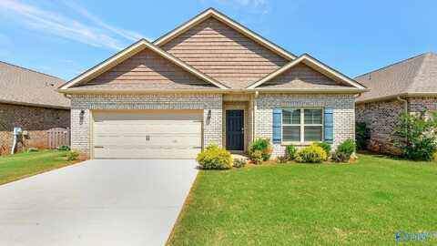 317 River Rock Drive, Madison, AL 35756