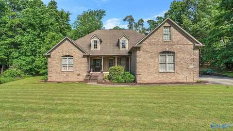 11266 Maggie Lou Drive, Tanner, AL 35671