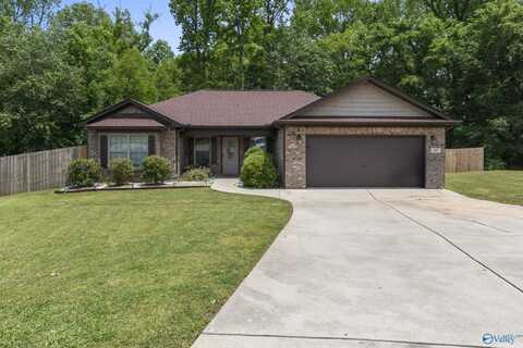 107 Tall Pine Court, Toney, AL 35773