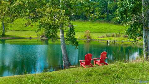 424 County Road 679, Fort Payne, AL 35968